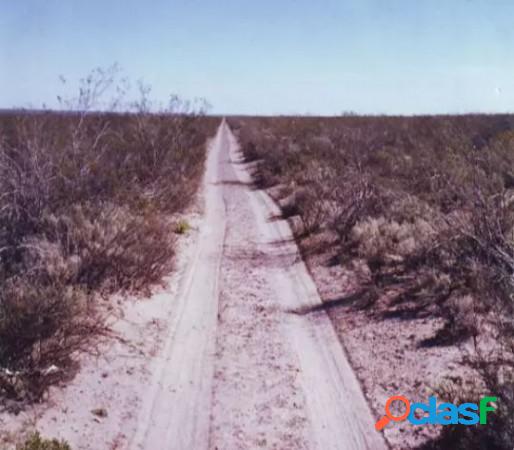 SE VENDE CAMPO EN PUELEN, LA PAMPA