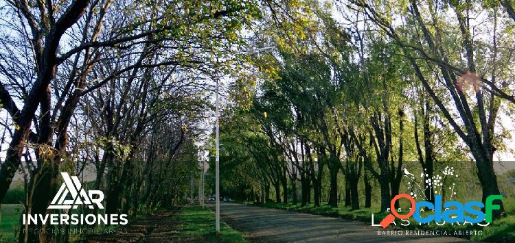 RICARDONE LOTES 318 M2 TODOS LOS SERVICIOS