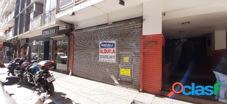 Alquiler Local ARENALES Y AV. COLON Mar del Plata