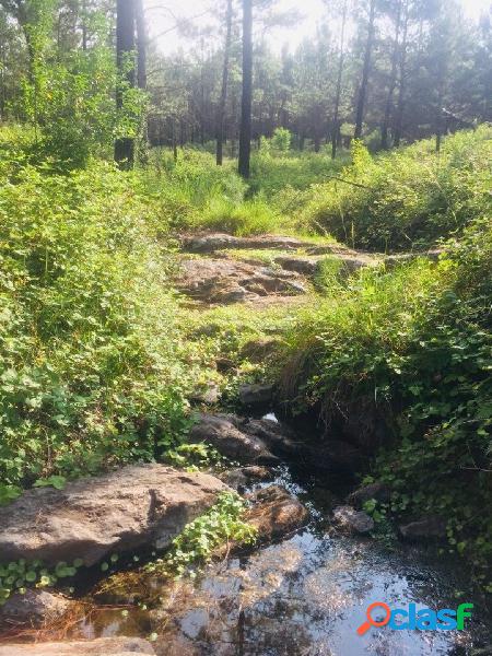 Campo 27ha Virgen Apto Agroecologico