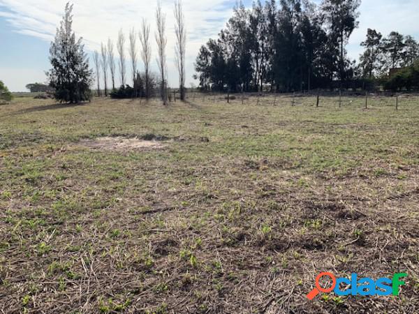 Lote 30 x 100m Ruta 11 frente al Aeroclub, ciudad de San