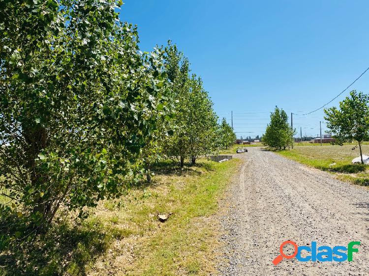 LOTES CON ENTREGA INMEDIATA - PUERTO GENERAL SAN MARTÍN