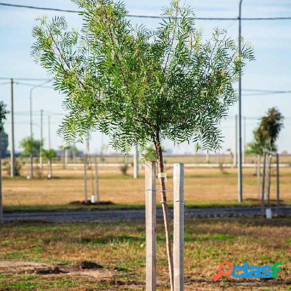 VILLA AMELIA - ECOVIDA - TERRENO DE 300 M2 -