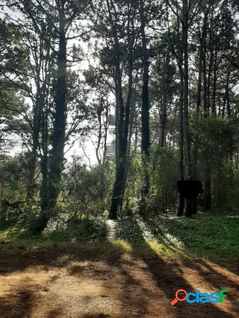 Lote Escriturado en Costa del Este a pocas cuadras de la