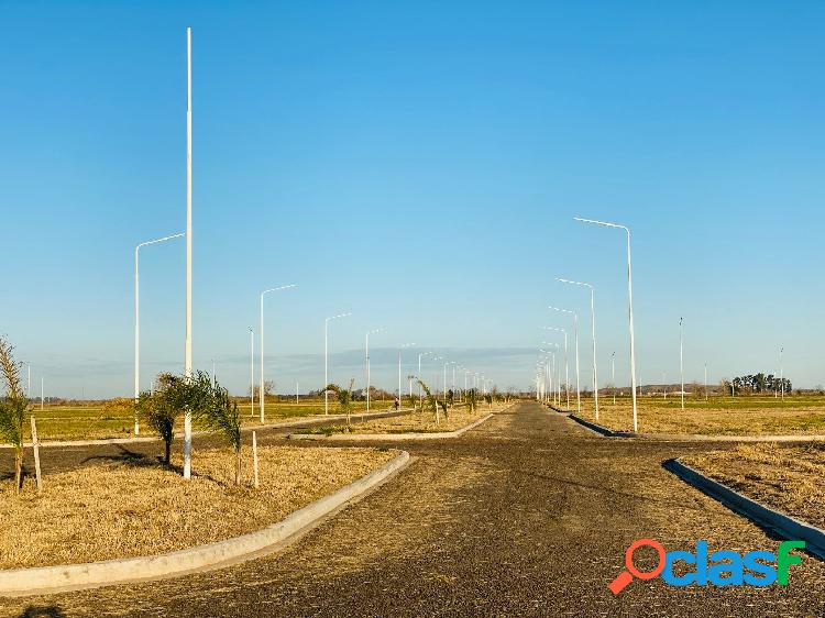 RICARDONE LOTES 318 M2 TODOS LOS SERVICIOS