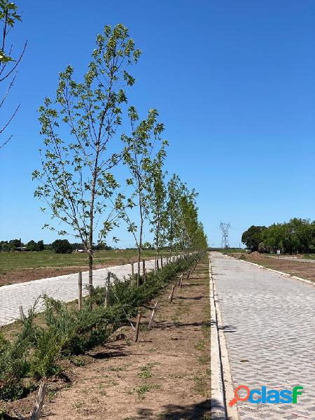 BARRIO ECOTIERRA - PUEBLO ESTHER - TODOS LOS SERVICIOS -