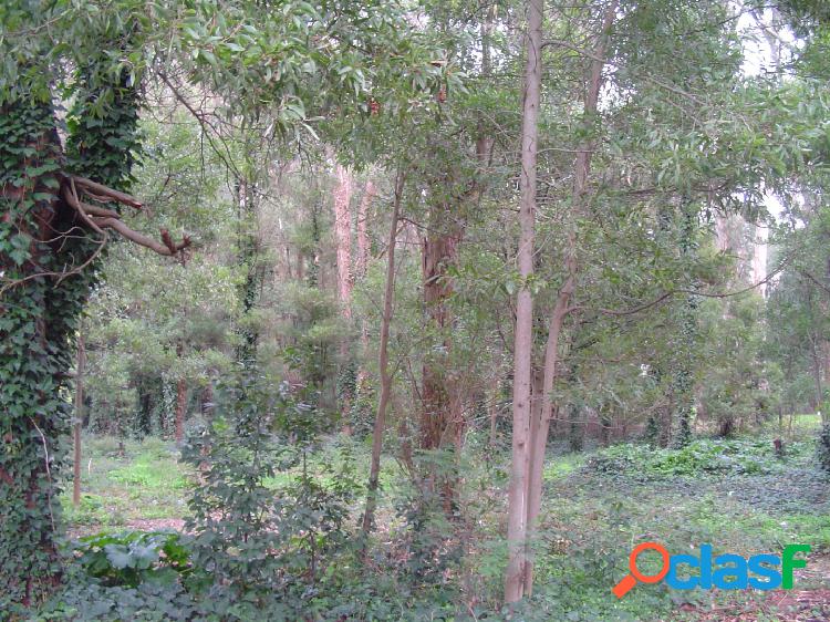 LOTE ZONA BOSQUE PERALTA RAMOS