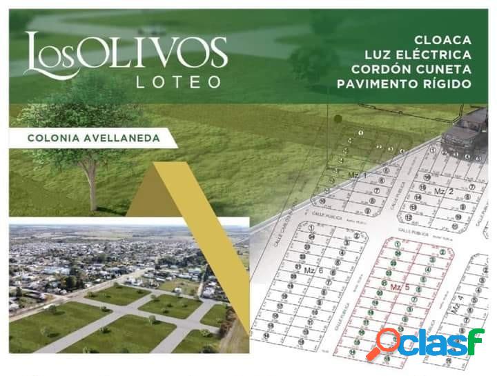 Lanzamiento Loteo LOS OLIVOS I -Colonia Avellaneda-