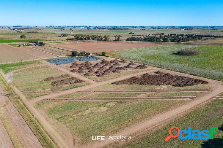 PUEBLO ESTHER - BARRIO ECOTIERRA - SOBRE AO12 - LOTE DE 300