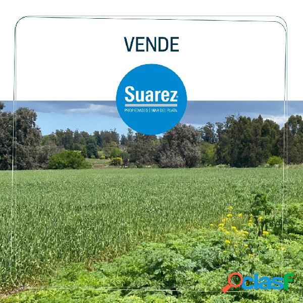 Venta Campo Estación Chapadmalal