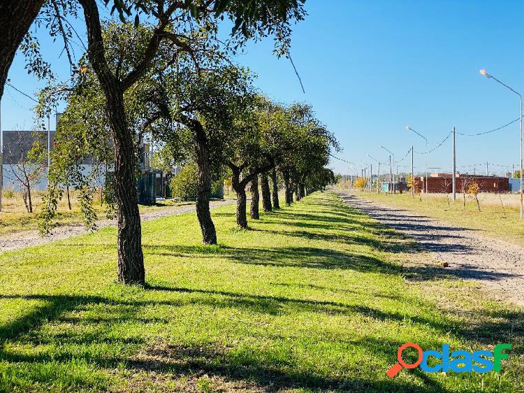VENDO TERRENO EN PUERTO SAN MARTIN ESCRITURADO