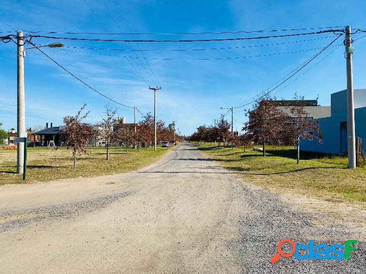 LOTE OPORTUDAD EN IBARLUCEA - BARRIO CASUARINAS