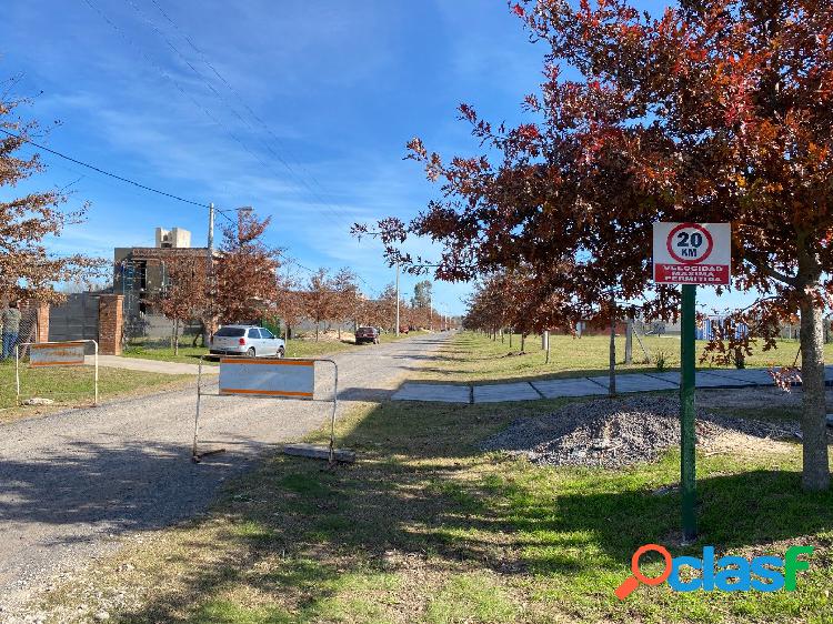 LOTE SOBRE AVENIDA LOGARITMO - BARRIO CASUARINAS IBARLUCEA