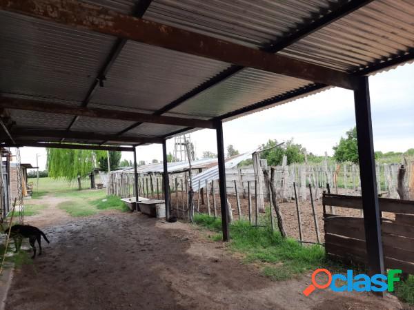 VENDO FINCA EN RAMA CAÍDA LISTA PARA TRABAJAR CON TODOS LOS