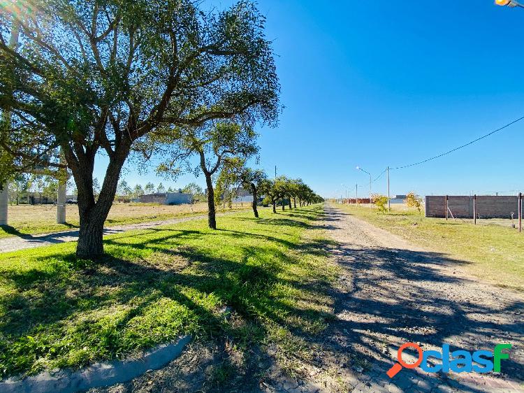 VENDO TERRENO SOBRE BOULEVARD PAVIMENTADO TIERRA DE SUEÑOS