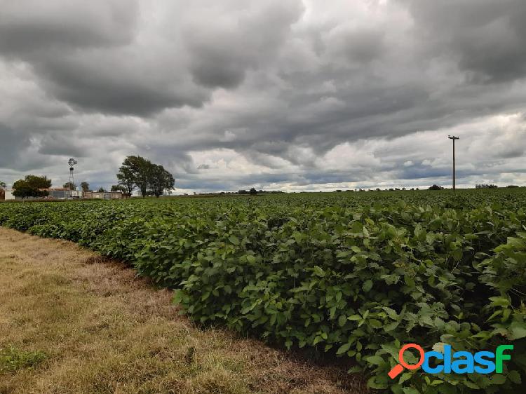 Campo en Córdoba (General Deheza)