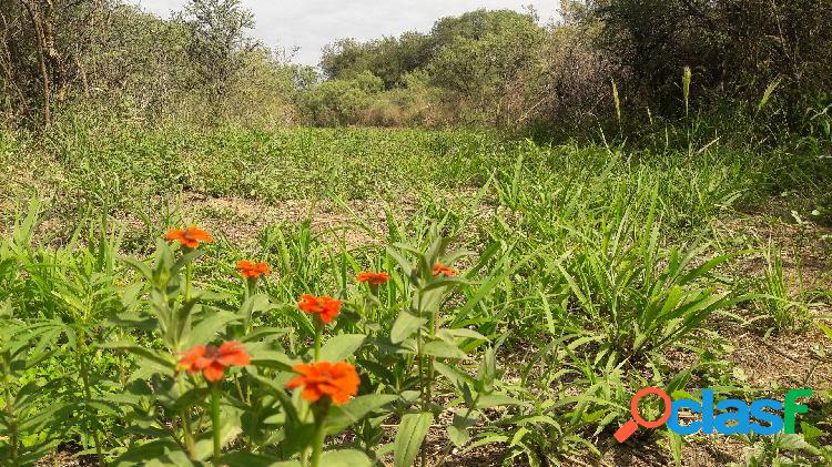 VENTA DE LOTES "CHACRAS DEL OESTE" EN SAN MARCOS- CÓRDOBA