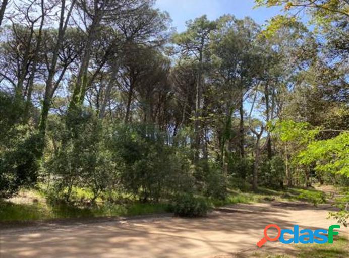 LOTE EN VENTA |CARILÓ | CONSTANCIA entre CAOBA y CALDEN |