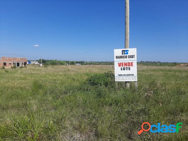 VENDO TERRENO EN VILLA ELISA