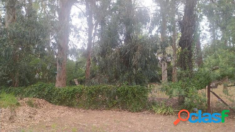 lote a la venta barrio bosque peralta ramos