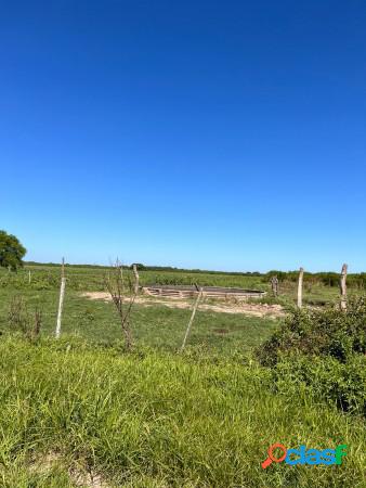 93 hectareas en Campo Andino