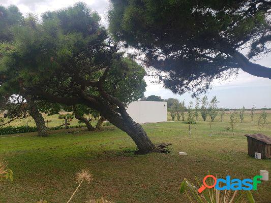 Venden 5 ha Casa,Galpón Playa Dorada Mar Chiquita