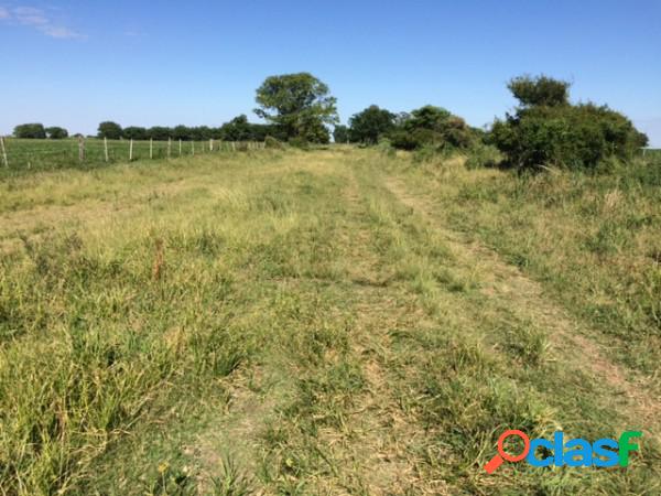 Estancia 600 Hectáreas mixtas en San Justo