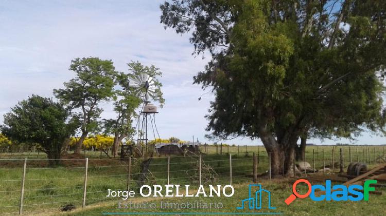 VENTA CAMPO AGRICOLA DE 131 HECTAREAS EN BALNEARIO SAN