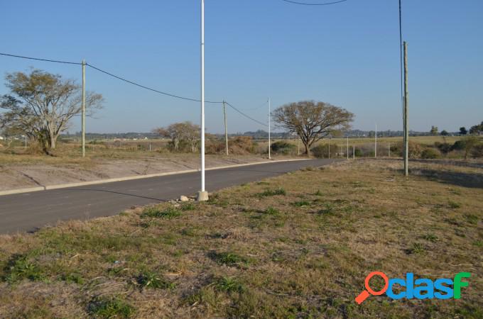 Jardines del hipodromo oro verde