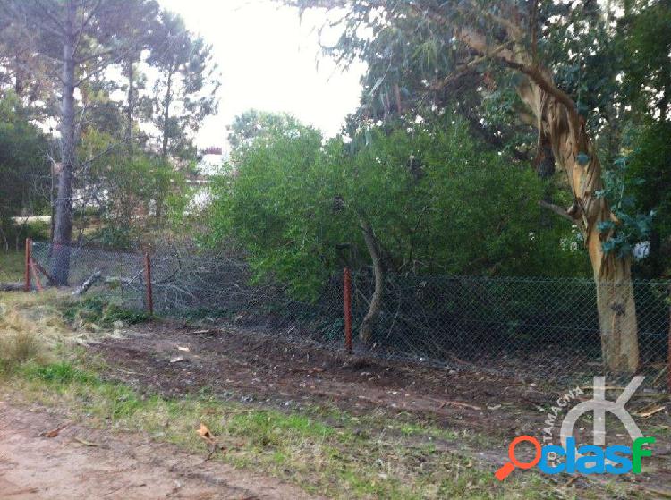 LOTE VALERIA DEL MAR | VASCO DE GAMA 1459 |