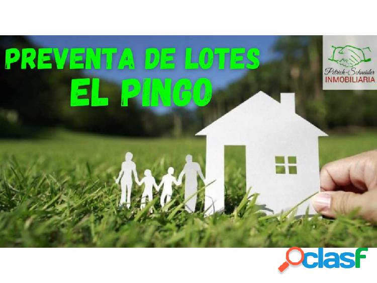 Lotes en el pingo (preventa)