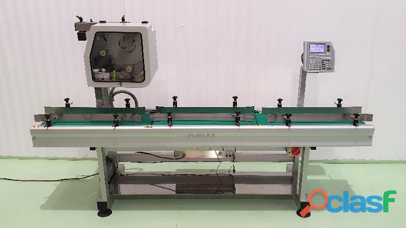 ETIQUETADORA AUTOMATICA DIBAL mod. SYSTEM 2300 LARGO