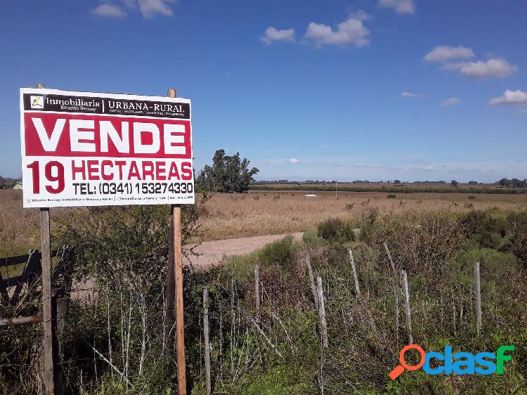 Campo agricola de 19 hectareas