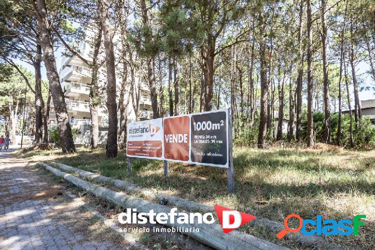 Lote. | CONSTITUCION