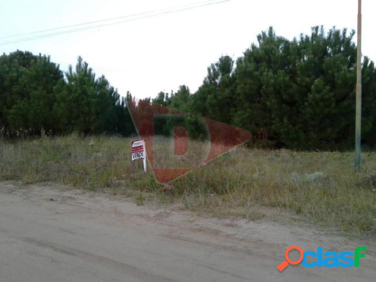 PROPIEDAD RESERVADA Lote. | VULCANO