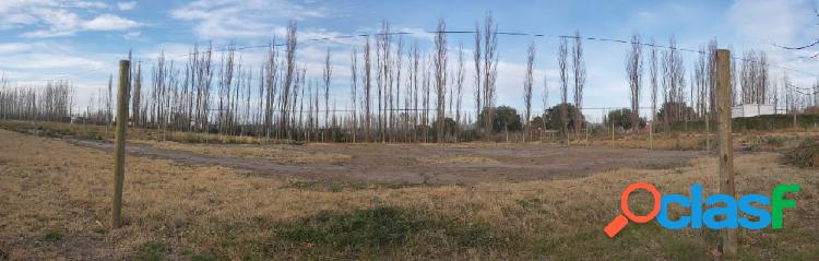 VENDO LOTES EN RAMA CAIDA SAN RAFAEL MZA