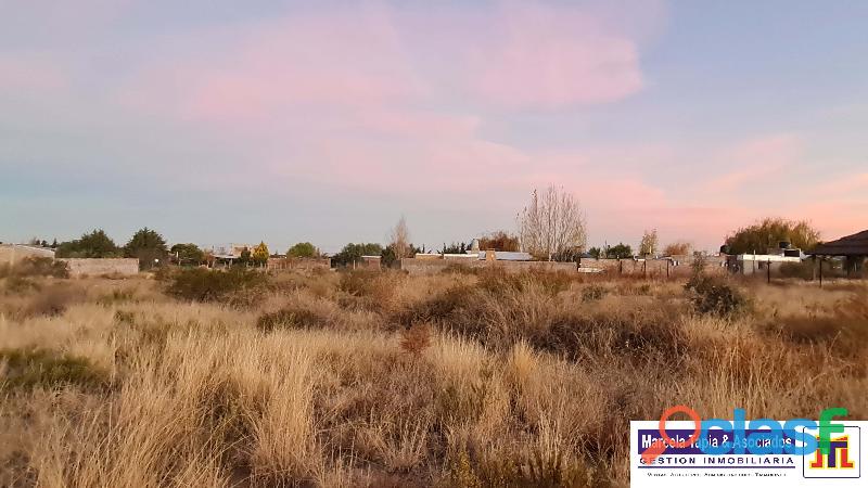 VENTA DE LOTE EN BARRIO EL MOLLAR, LUJAN DE CUYO, MENDOZA