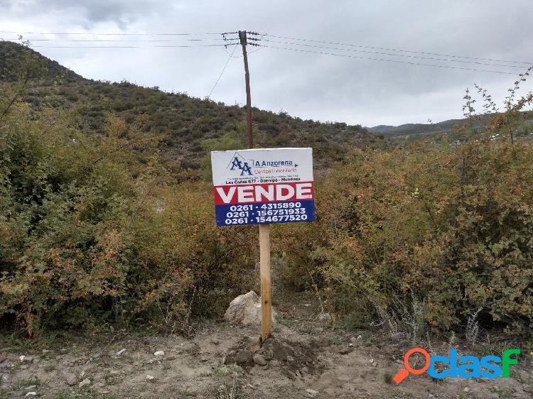 LOTE 8000 METROS LOS ZORZALES POTRERILLOS