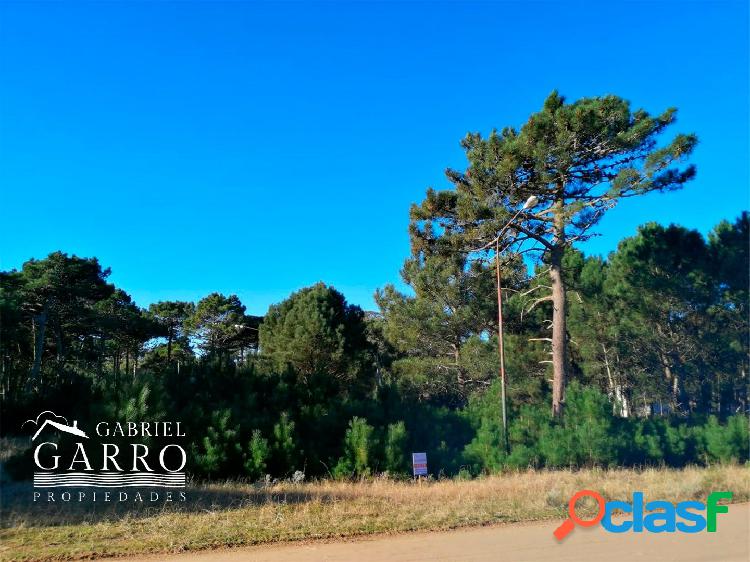 Lote en venta, Pinamar, Alamos II