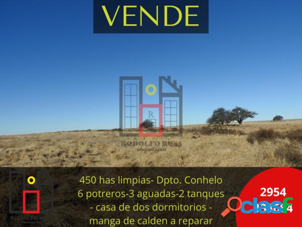 Se venden 450 has limpias en Departamento Conhelo, La Pampa