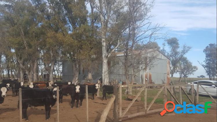 VENTA, Campo mixto de 400 has en Gral San Martin - La Pampa