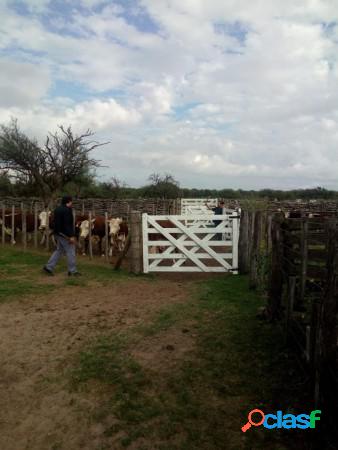 Venta de Campo en San Luis, Belgrano