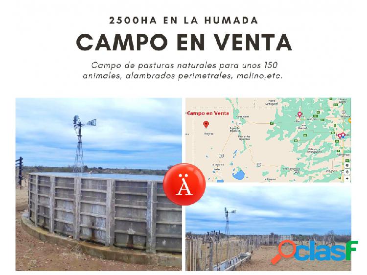 Campo - La Humada