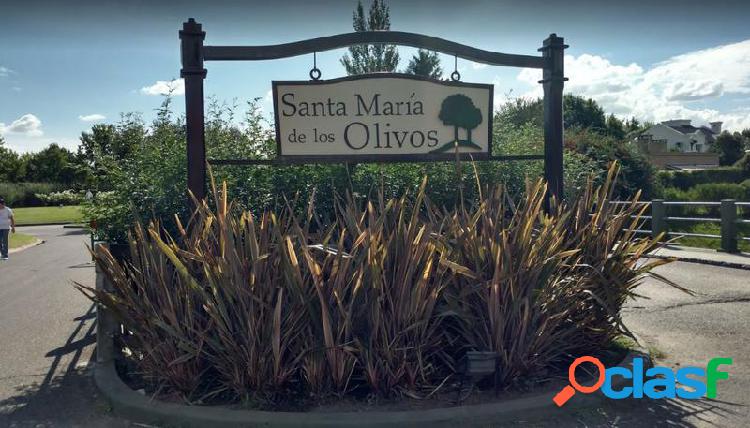 Lote 95 - Santa Maria de los Olivos