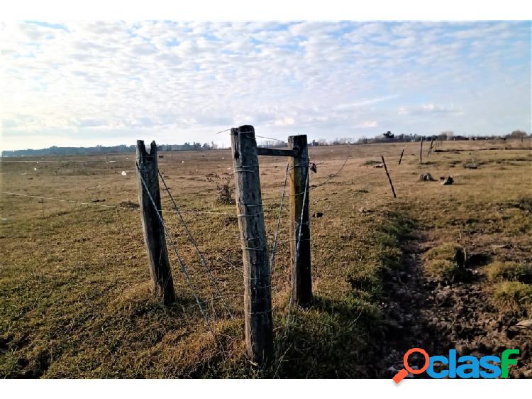 Venta Campo Mixto Apto P/Forestación 110 Hectáreas Azul