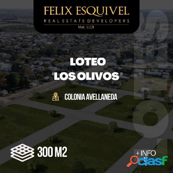 NUEVO LOTEO LOS OLIVOS EN EL MEJOR PUNTO DE COLONIA