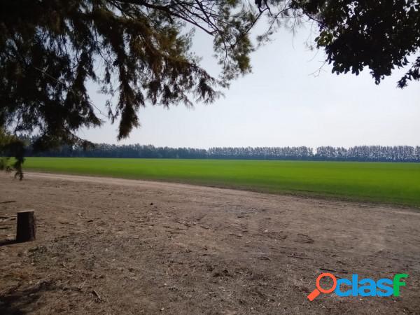 Campo agrícola 32 hectáreas con mejoras