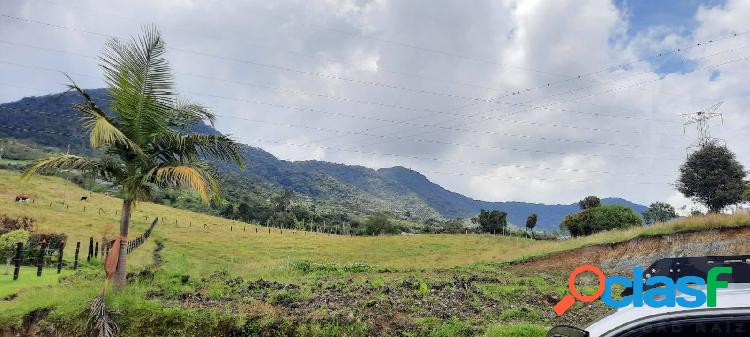 Lotes independientes para venta en el carmen de viboral 4413