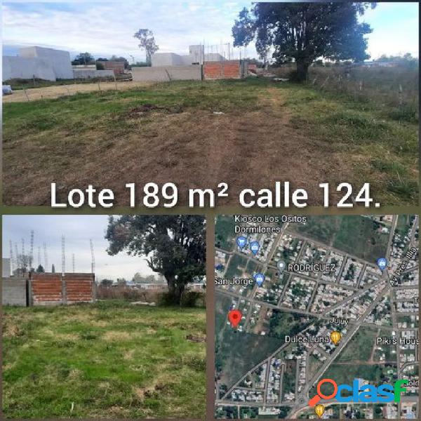 lote 189