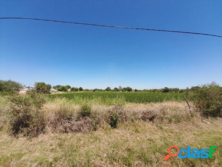 VENTA: LOTE EN CORONDA - Ref. 982